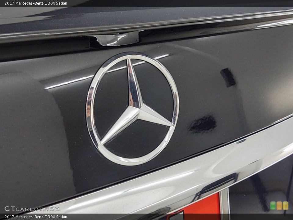 2017 Mercedes-Benz E Custom Badge and Logo Photo #141208439