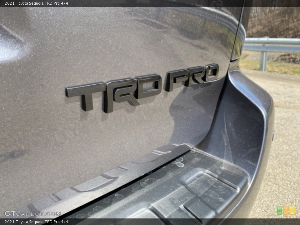 2021 Toyota Sequoia Custom Badge and Logo Photo #141407393
