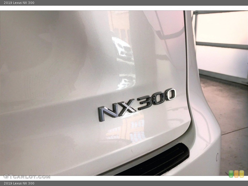 2019 Lexus NX Custom Badge and Logo Photo #141500299