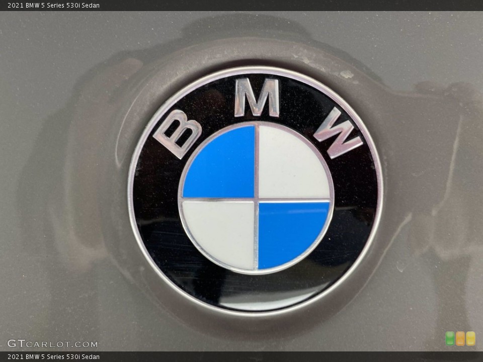 2021 BMW 5 Series Custom Badge and Logo Photo #141785939