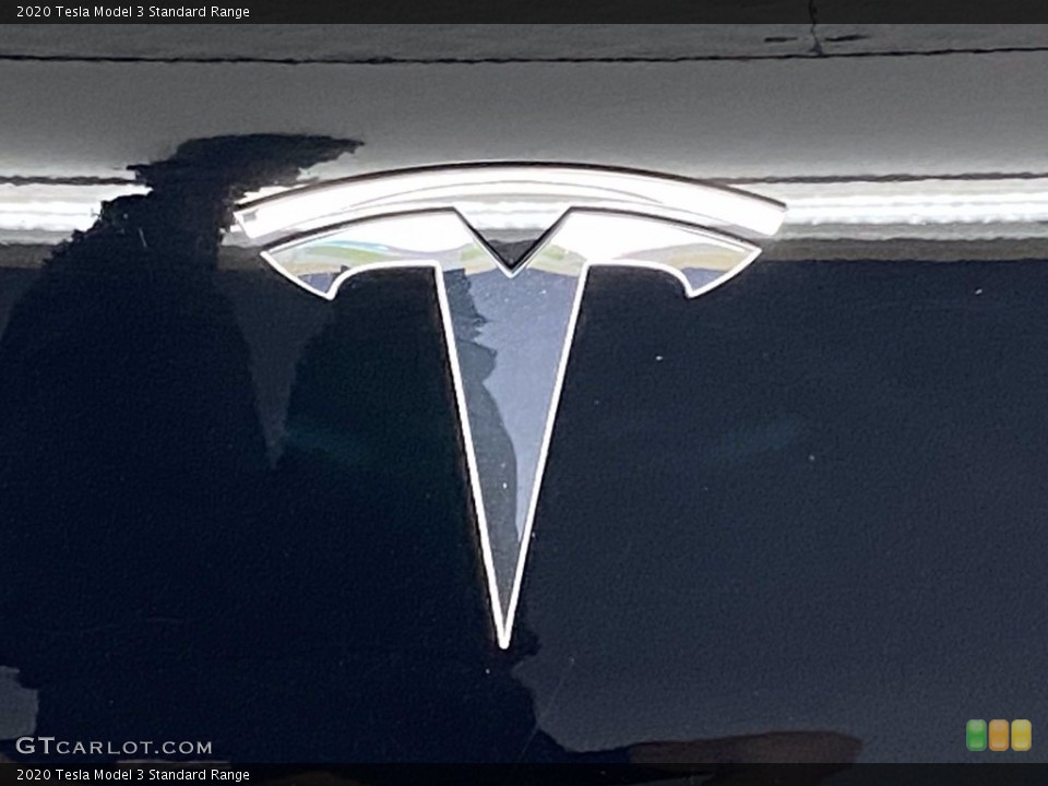 2020 Tesla Model 3 Custom Badge and Logo Photo #141873856