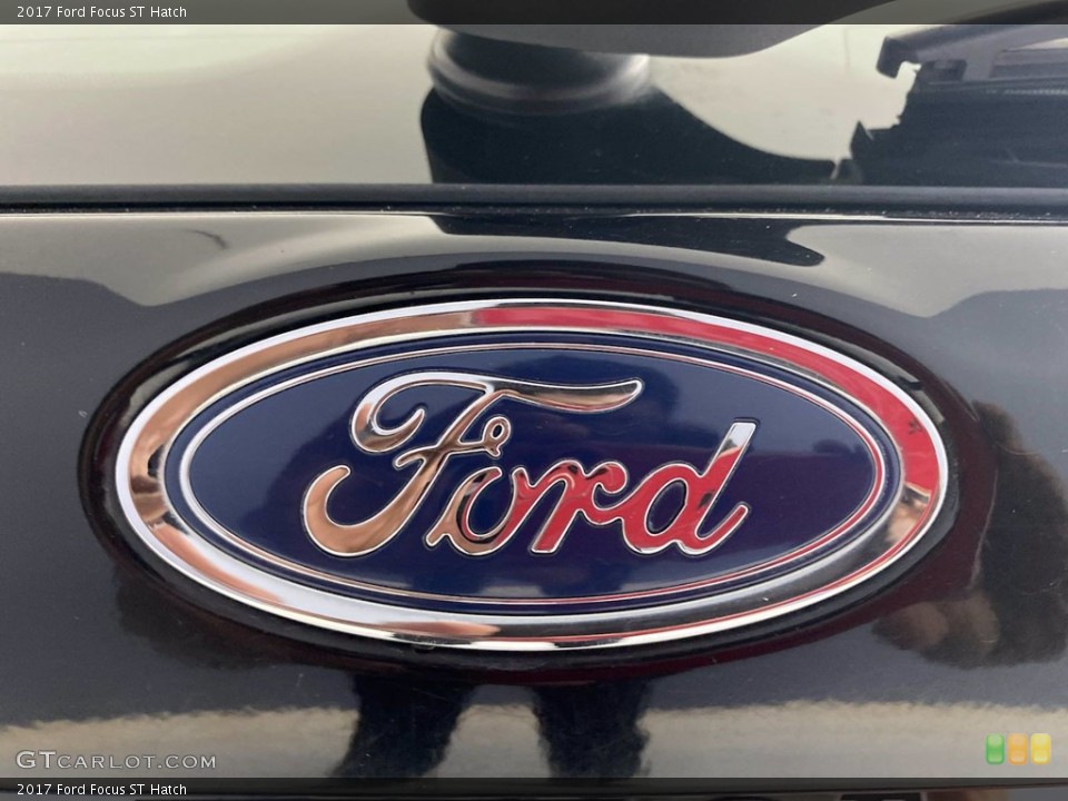 2017 Ford Focus Custom Badge and Logo Photo #141978041