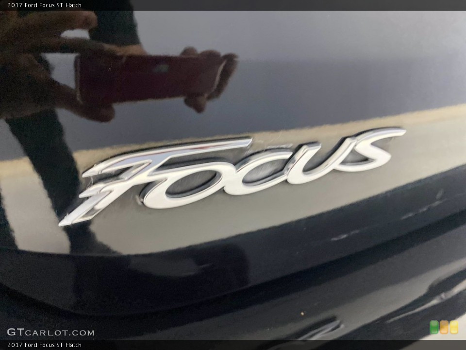 2017 Ford Focus Custom Badge and Logo Photo #141978060