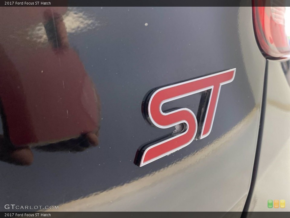 2017 Ford Focus Custom Badge and Logo Photo #141978077