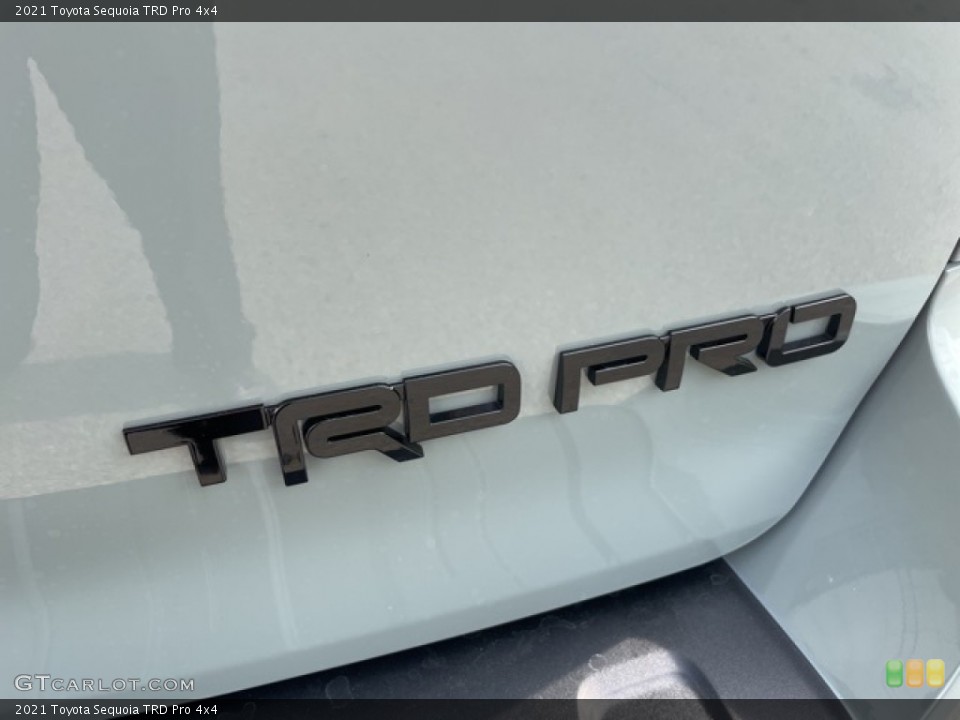 2021 Toyota Sequoia Custom Badge and Logo Photo #142038328