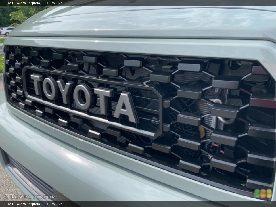 2021 Toyota Sequoia Custom Badge and Logo Photo #142038388
