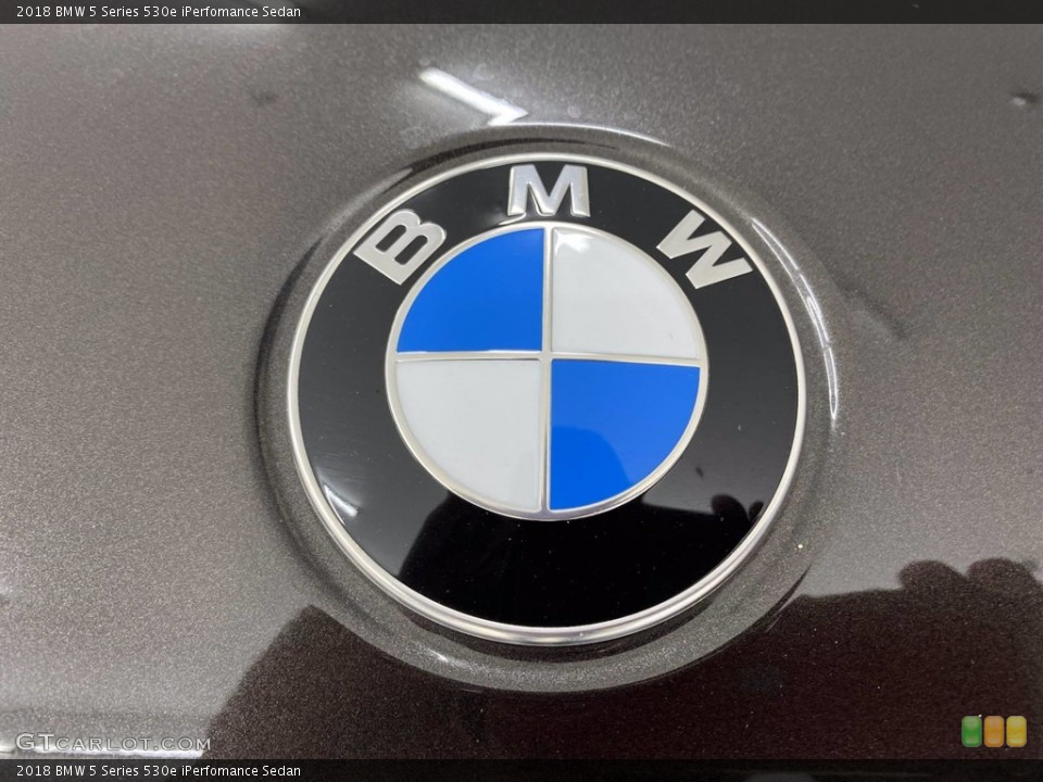 2018 BMW 5 Series Custom Badge and Logo Photo #142039273