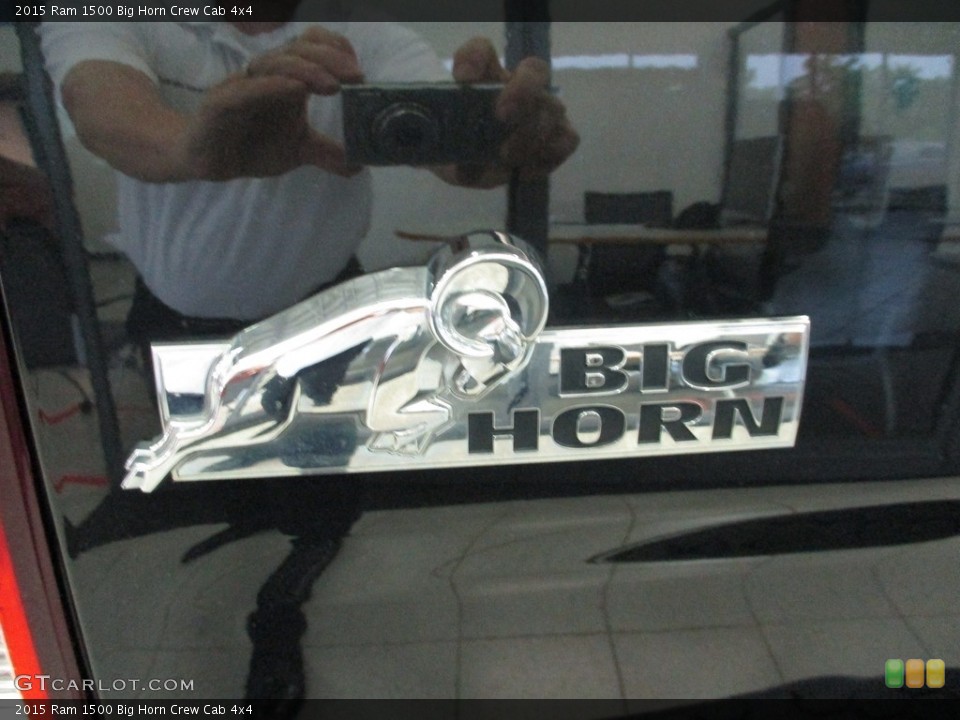 2015 Ram 1500 Custom Badge and Logo Photo #142141420