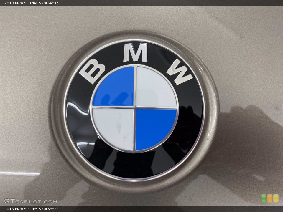 2018 BMW 5 Series Custom Badge and Logo Photo #142154249