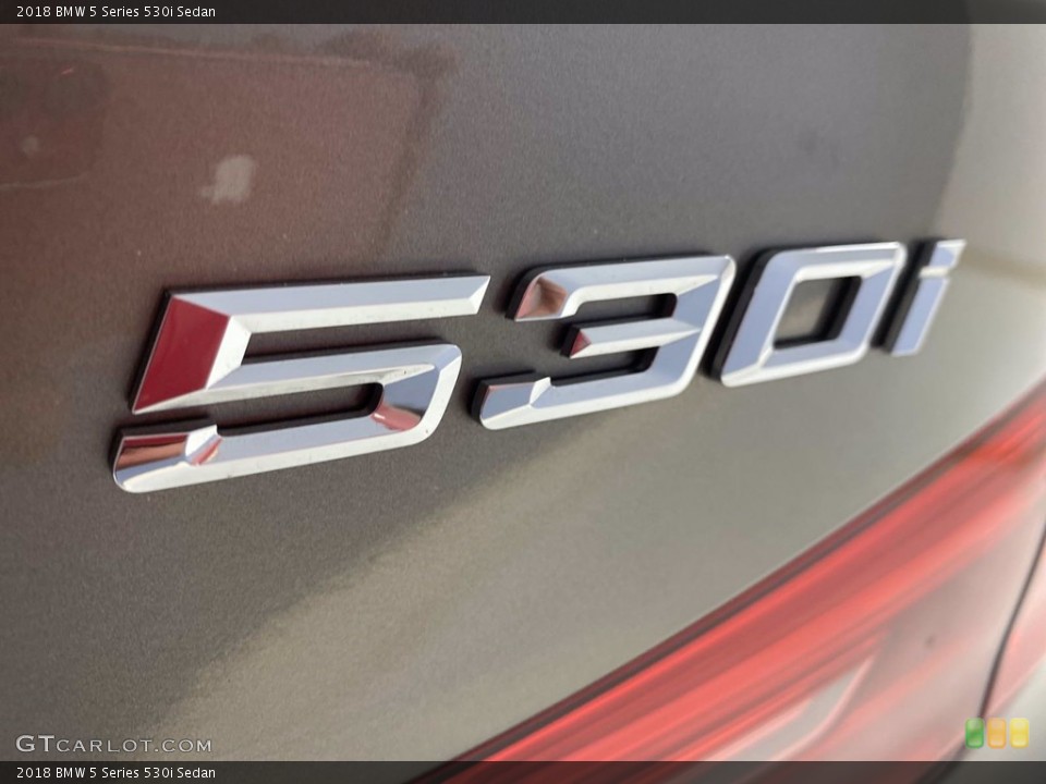 2018 BMW 5 Series Custom Badge and Logo Photo #142154276
