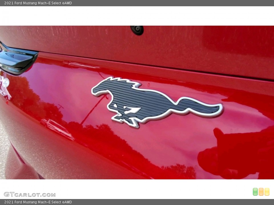 2021 Ford Mustang Mach-E Custom Badge and Logo Photo #142280054