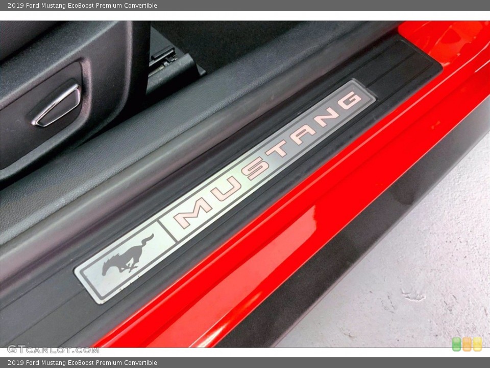 2019 Ford Mustang Custom Badge and Logo Photo #142307336