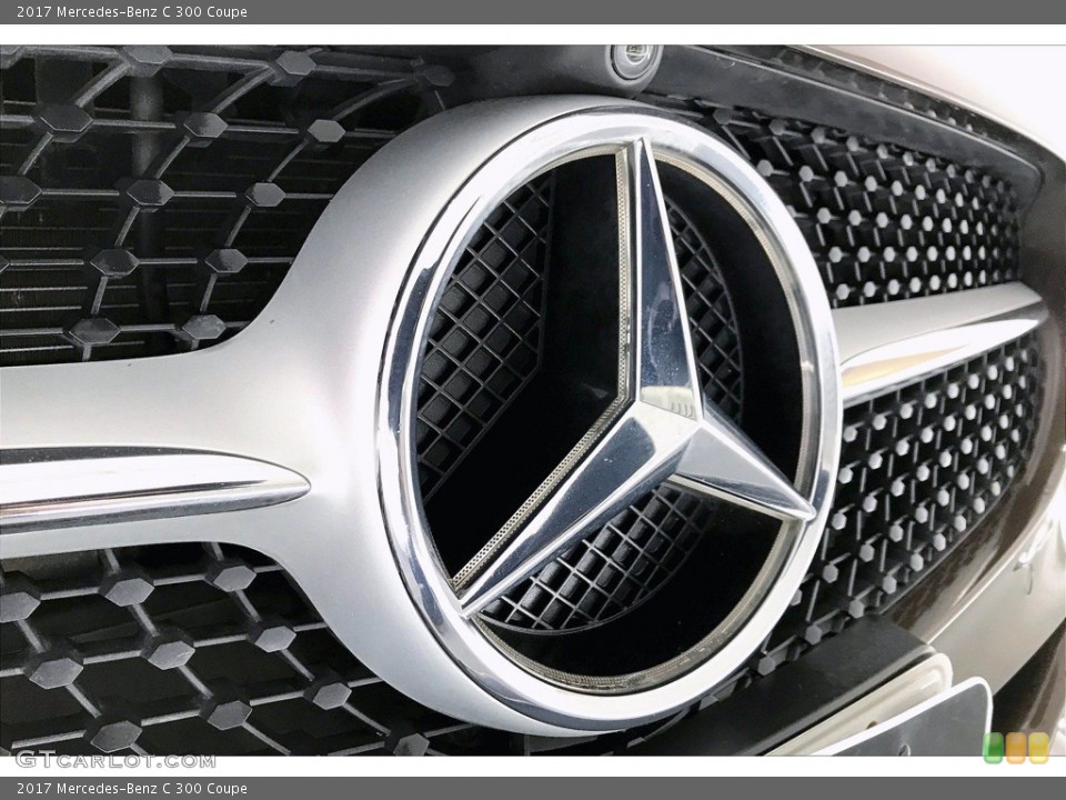 2017 Mercedes-Benz C Custom Badge and Logo Photo #142728534