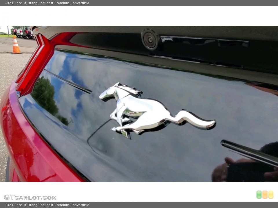 2021 Ford Mustang Custom Badge and Logo Photo #142760429