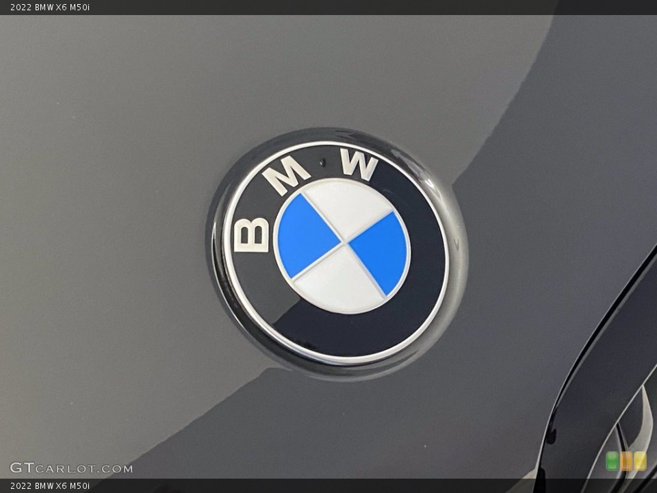 2022 BMW X6 Custom Badge and Logo Photo #142764978