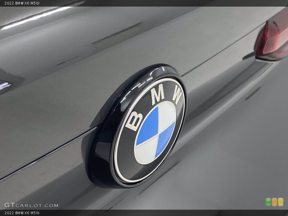 2022 BMW X6 Custom Badge and Logo Photo #142765029