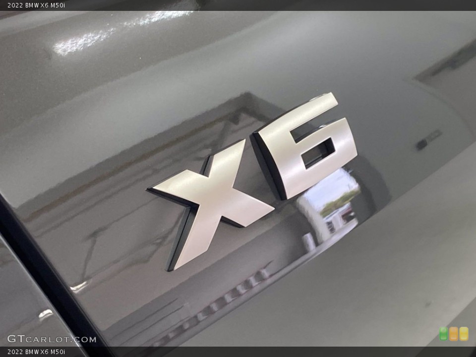 2022 BMW X6 Custom Badge and Logo Photo #142765053