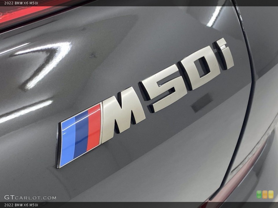 2022 BMW X6 Custom Badge and Logo Photo #142765080