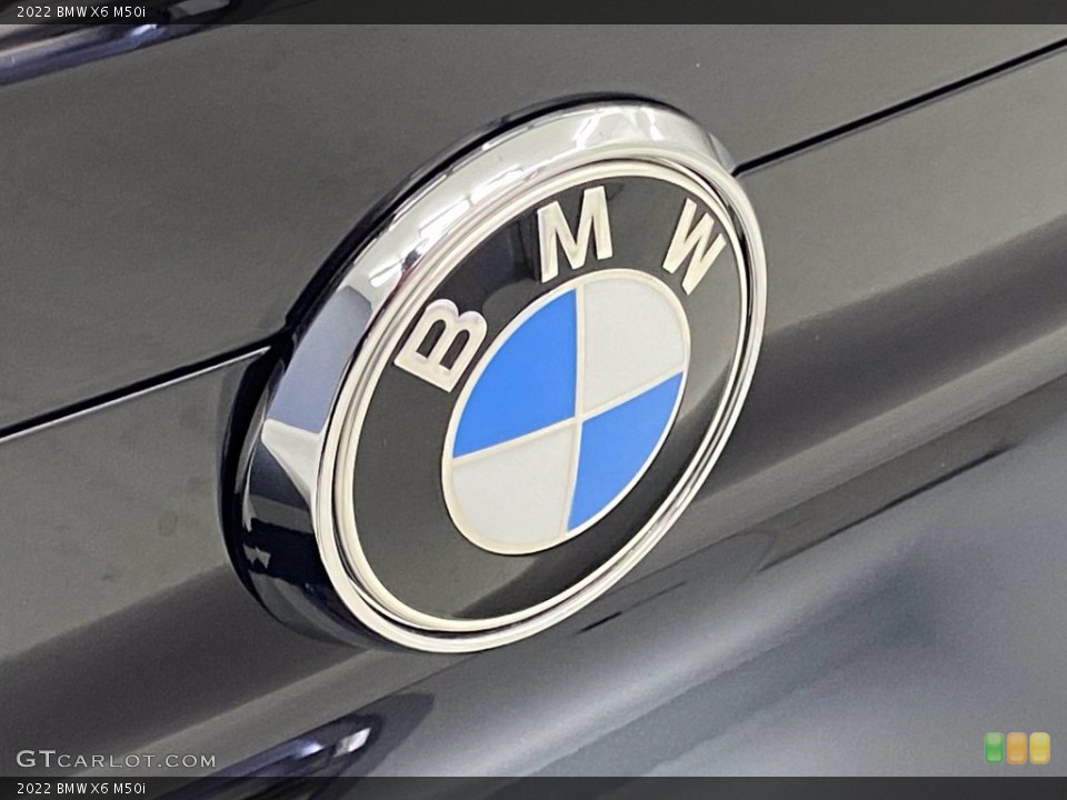 2022 BMW X6 Custom Badge and Logo Photo #142818689