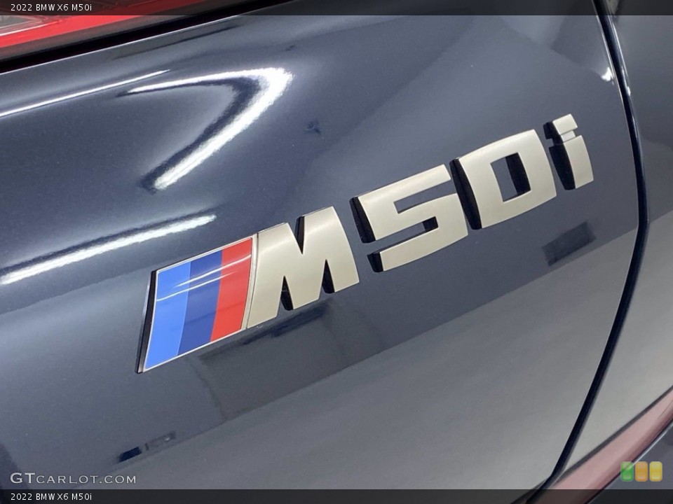 2022 BMW X6 Custom Badge and Logo Photo #142818731