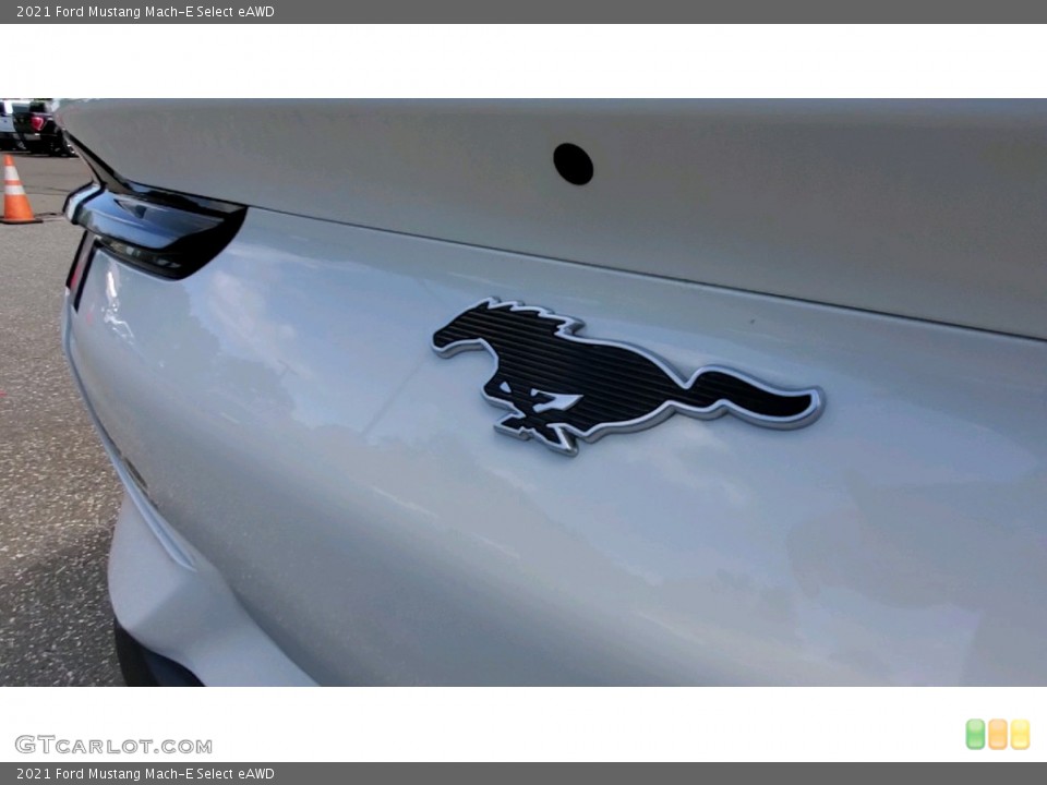2021 Ford Mustang Mach-E Custom Badge and Logo Photo #142905250