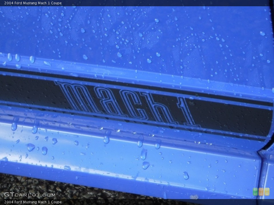 2004 Ford Mustang Custom Badge and Logo Photo #143625349