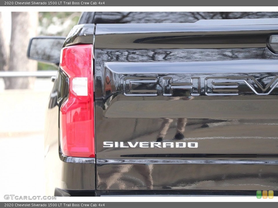 2020 Chevrolet Silverado 1500 Custom Badge and Logo Photo #143915288