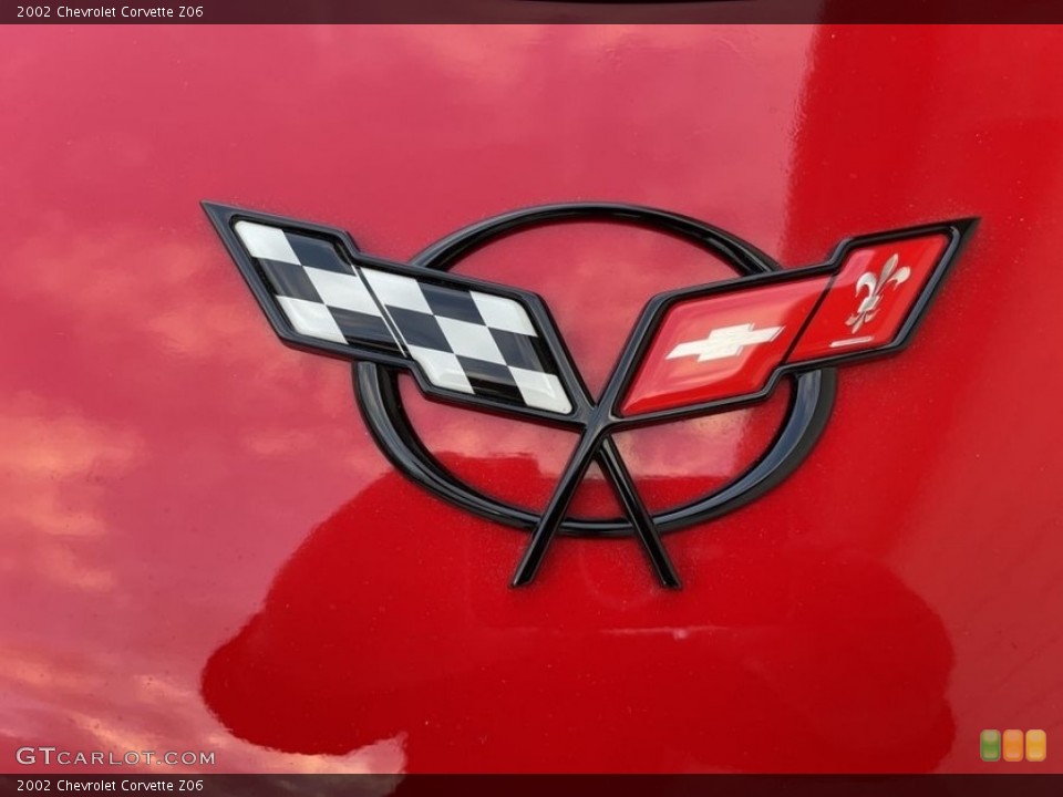 2002 Chevrolet Corvette Custom Badge and Logo Photo #144134812