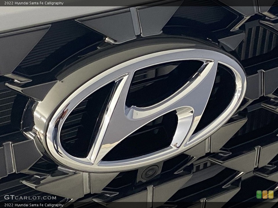 2022 Hyundai Santa Fe Custom Badge and Logo Photo #144413176