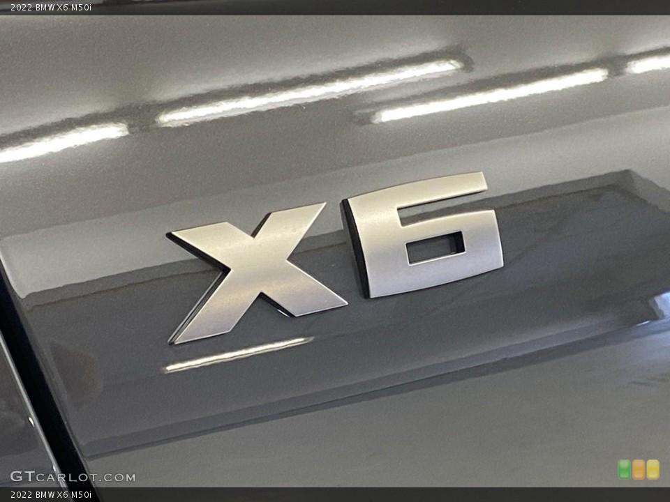 2022 BMW X6 Custom Badge and Logo Photo #144490774