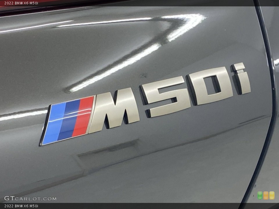 2022 BMW X6 Custom Badge and Logo Photo #144490777