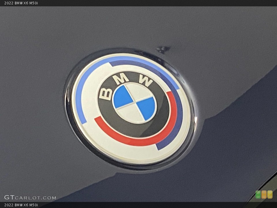 2022 BMW X6 Custom Badge and Logo Photo #144569596