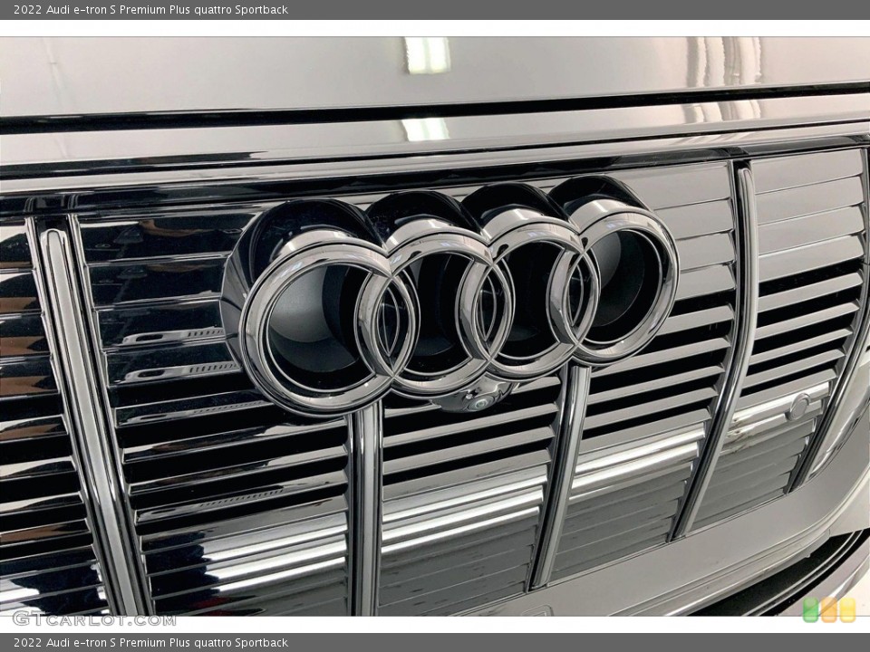 2022 Audi e-tron Custom Badge and Logo Photo #145079105