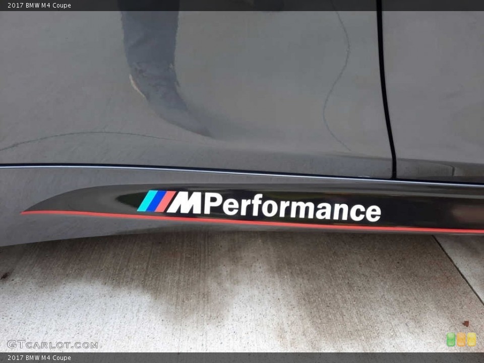 2017 BMW M4 Custom Badge and Logo Photo #145087518