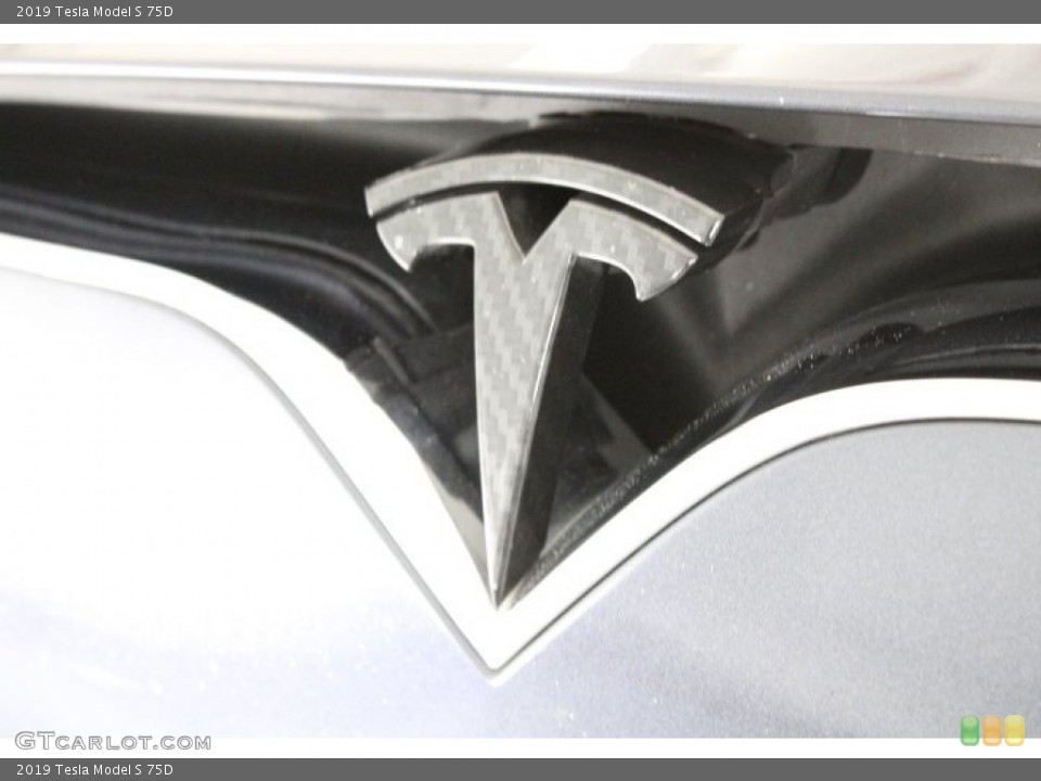 2019 Tesla Model S Custom Badge and Logo Photo #145252338