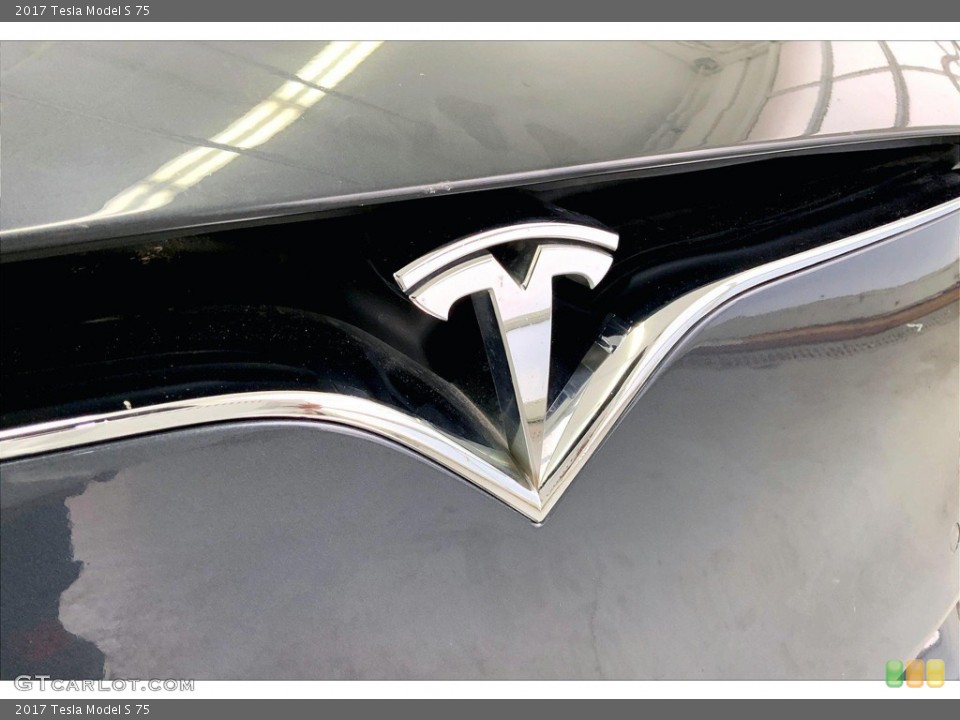 2017 Tesla Model S Custom Badge and Logo Photo #145391806