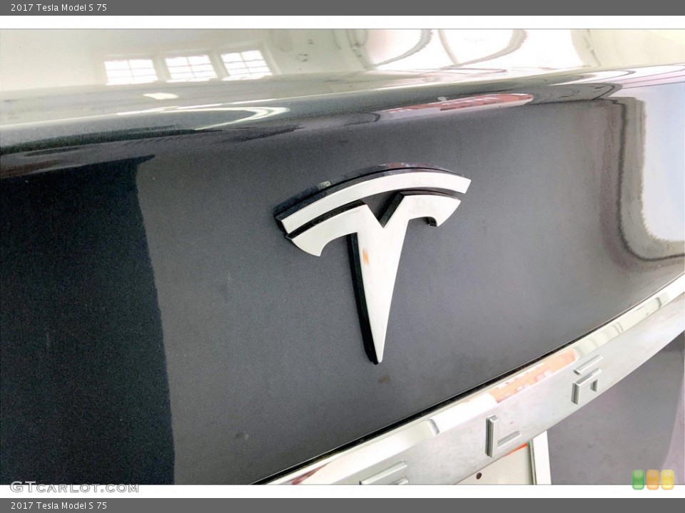 2017 Tesla Model S Custom Badge and Logo Photo #145391830