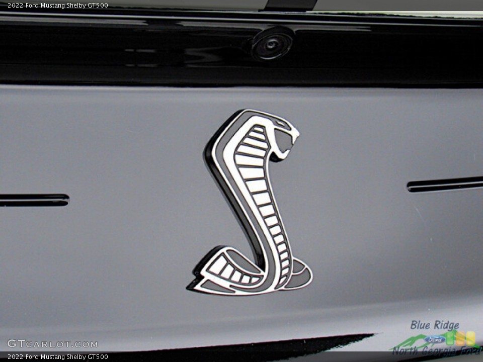 2022 Ford Mustang Custom Badge and Logo Photo #145425609