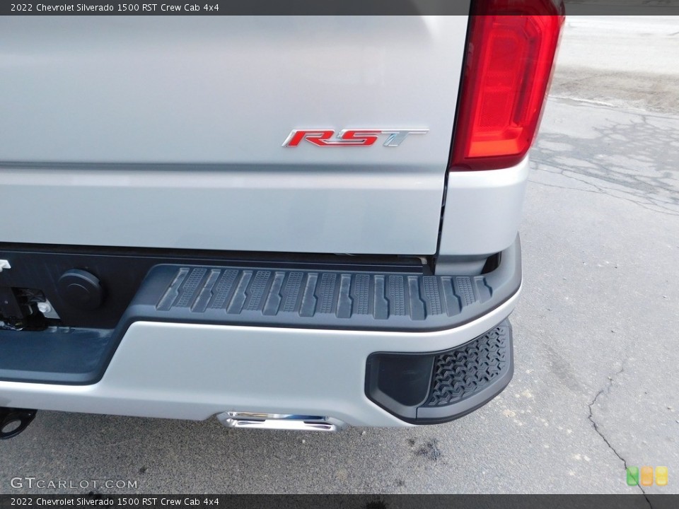 2022 Chevrolet Silverado 1500 Custom Badge and Logo Photo #145499496