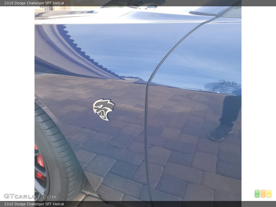 2016 Dodge Challenger Custom Badge and Logo Photo #145543804