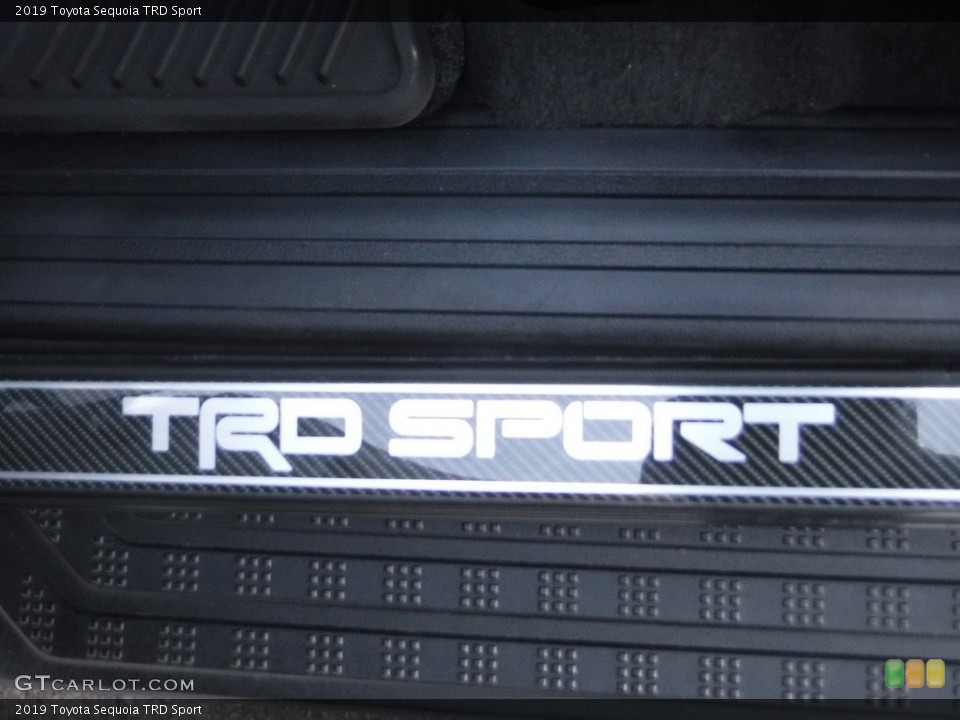 2019 Toyota Sequoia Custom Badge and Logo Photo #145635995