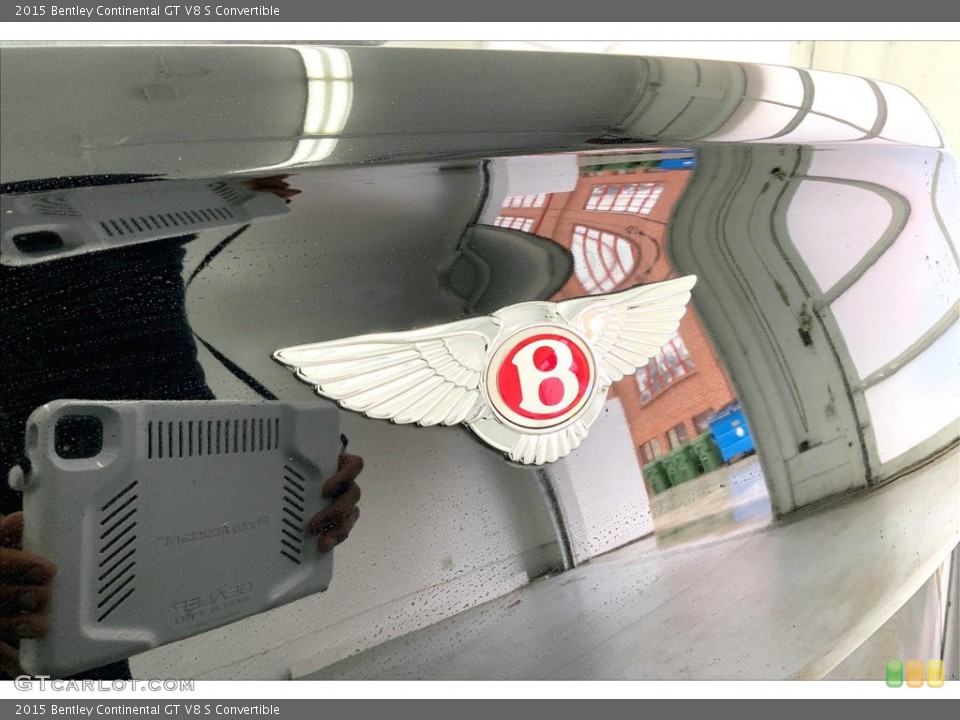 2015 Bentley Continental GT Custom Badge and Logo Photo #145691072