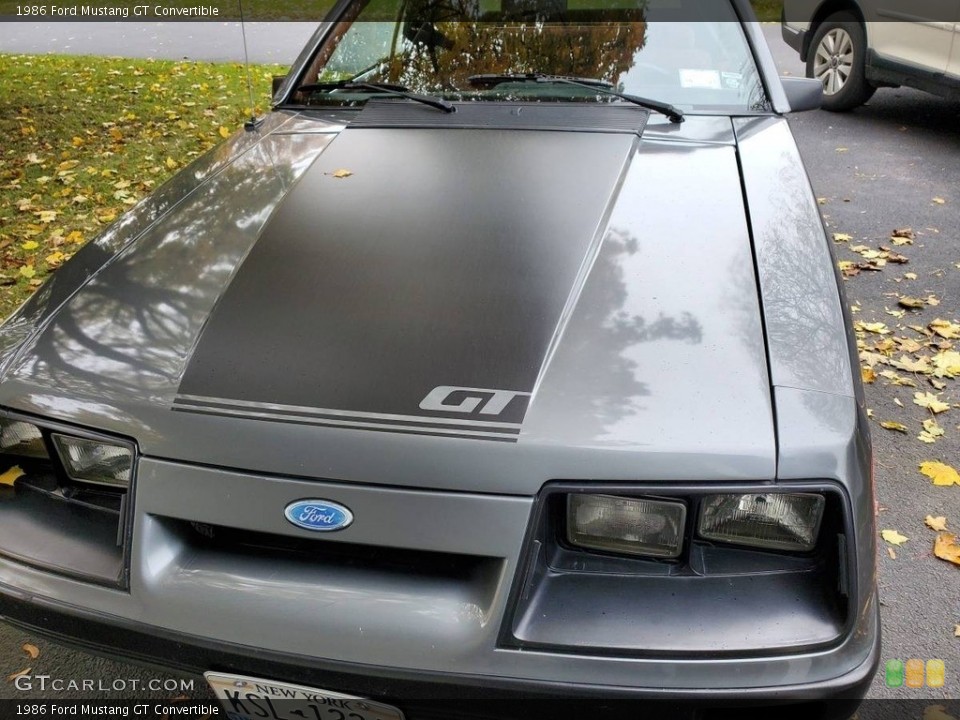 1986 Ford Mustang Custom Badge and Logo Photo #145805884