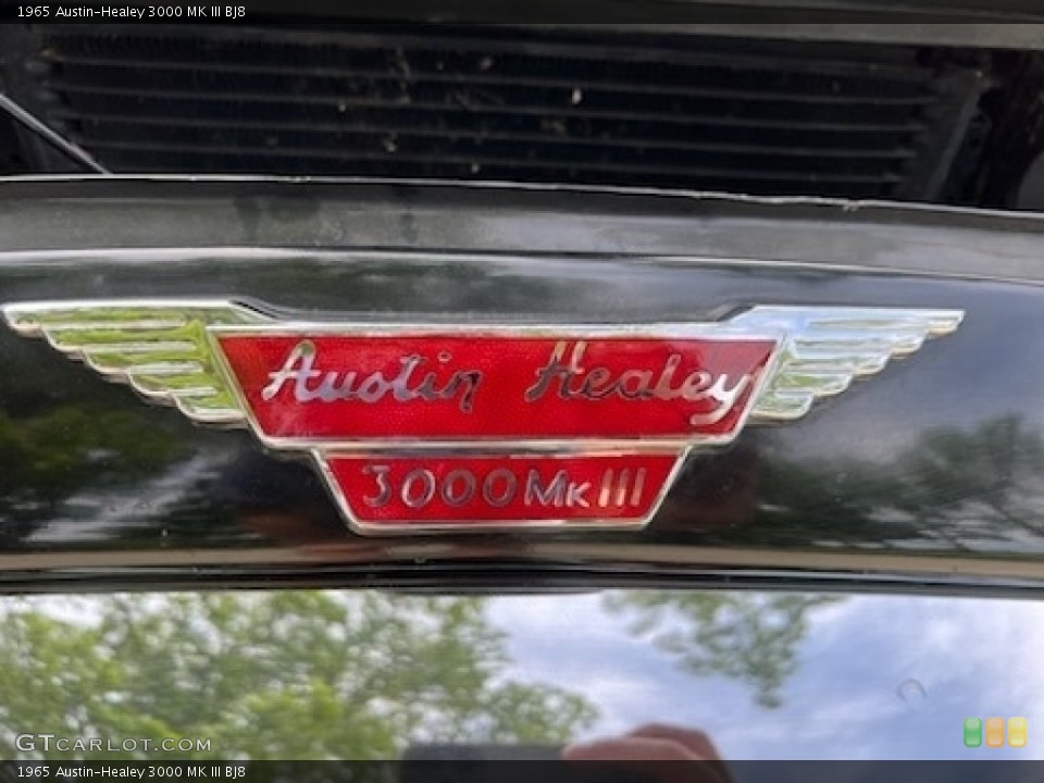 1965 Austin-Healey 3000 Custom Badge and Logo Photo #146217549