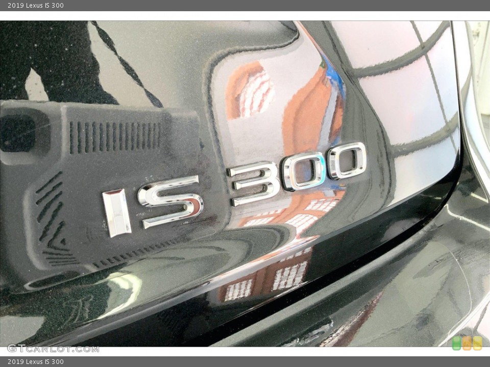 2019 Lexus IS Custom Badge and Logo Photo #146260221