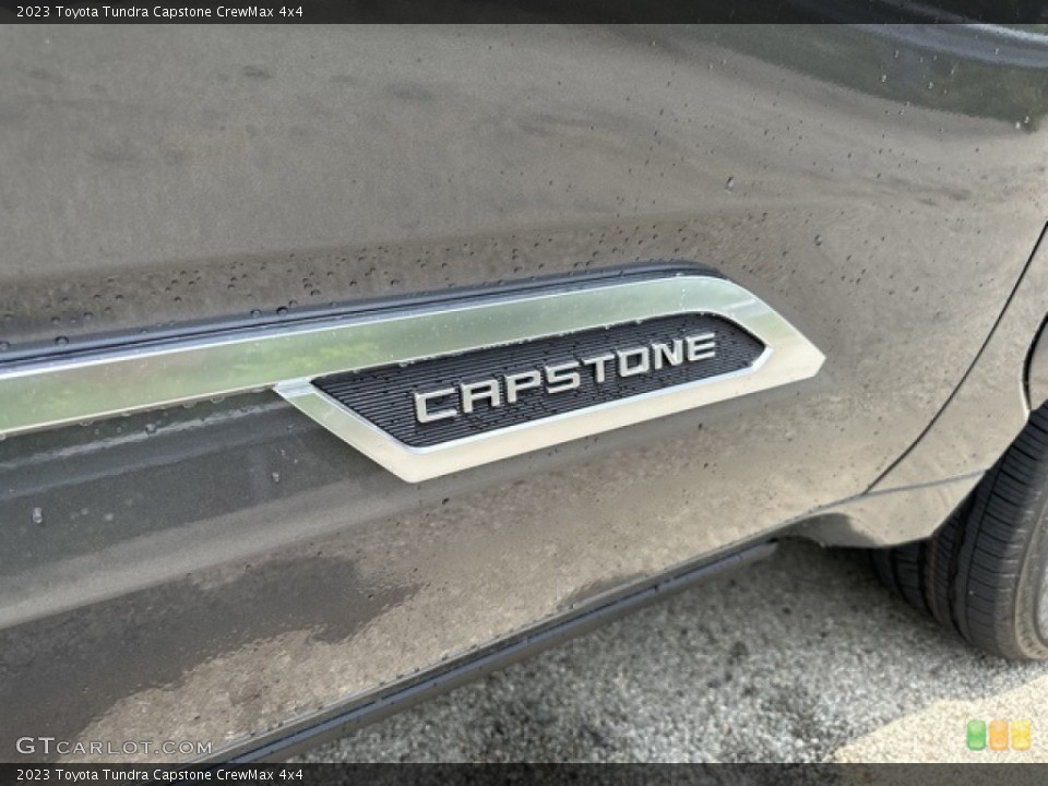 2023 Toyota Tundra Custom Badge and Logo Photo #146355936