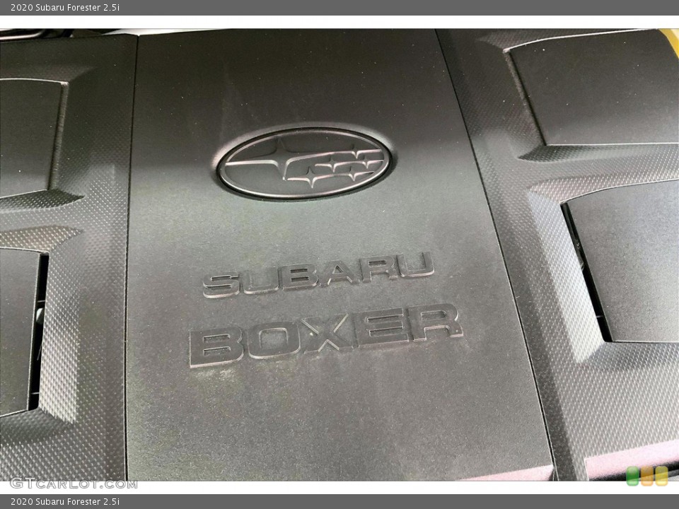 2020 Subaru Forester Custom Badge and Logo Photo #146377339