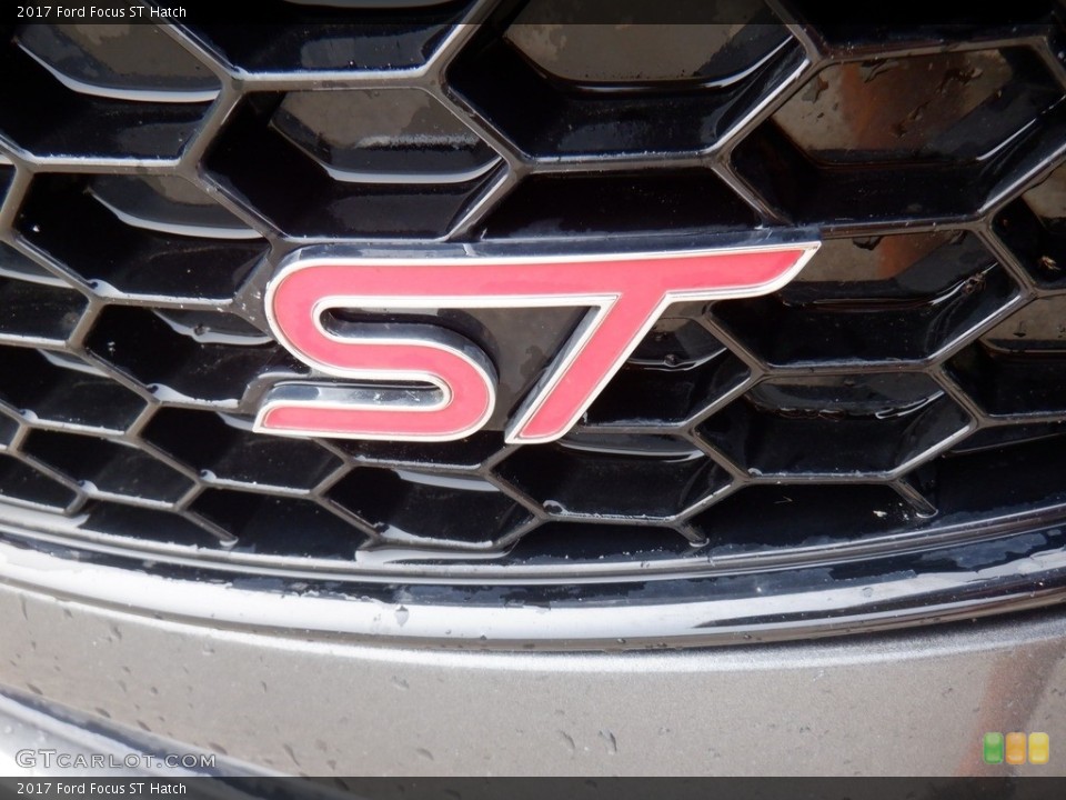2017 Ford Focus Custom Badge and Logo Photo #146405682