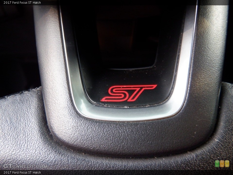 2017 Ford Focus Custom Badge and Logo Photo #146405916