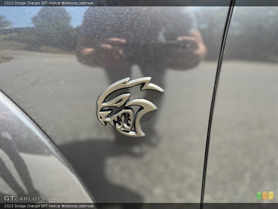 2023 Dodge Charger Custom Badge and Logo Photo #146432129